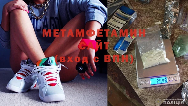 прущие грибы Вяземский