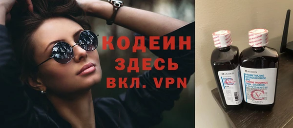 прущие грибы Вяземский