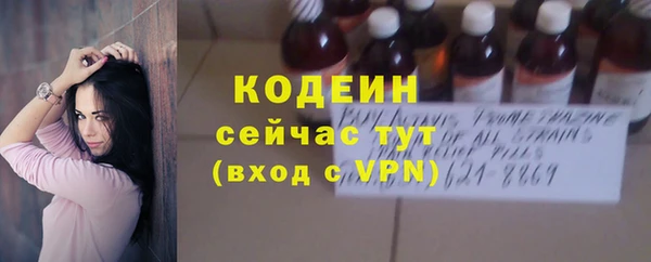 прущие грибы Вяземский