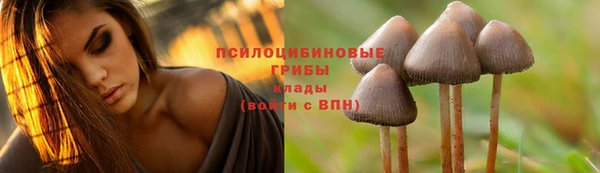 ALPHA-PVP Вязьма