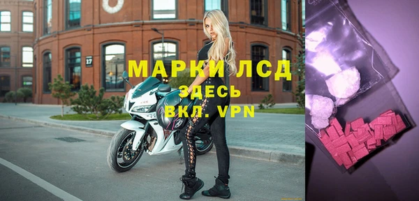 прущие грибы Вяземский