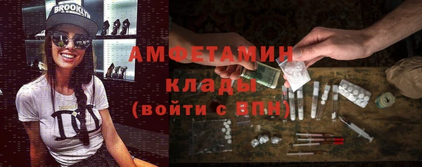прущие грибы Вяземский