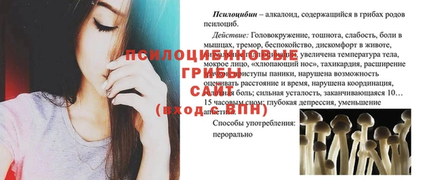 прущие грибы Вяземский