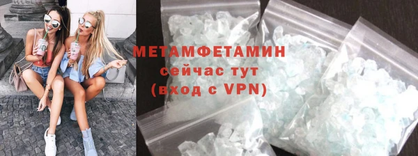 прущие грибы Вяземский