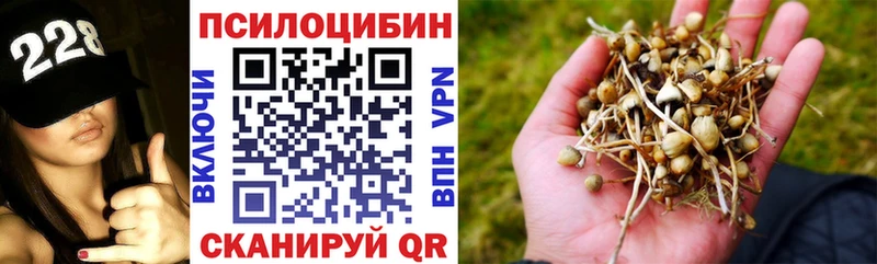 Галлюциногенные грибы Cubensis  наркошоп  Курск 