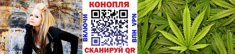 Конопля планчик  mega маркетплейс  Курск 